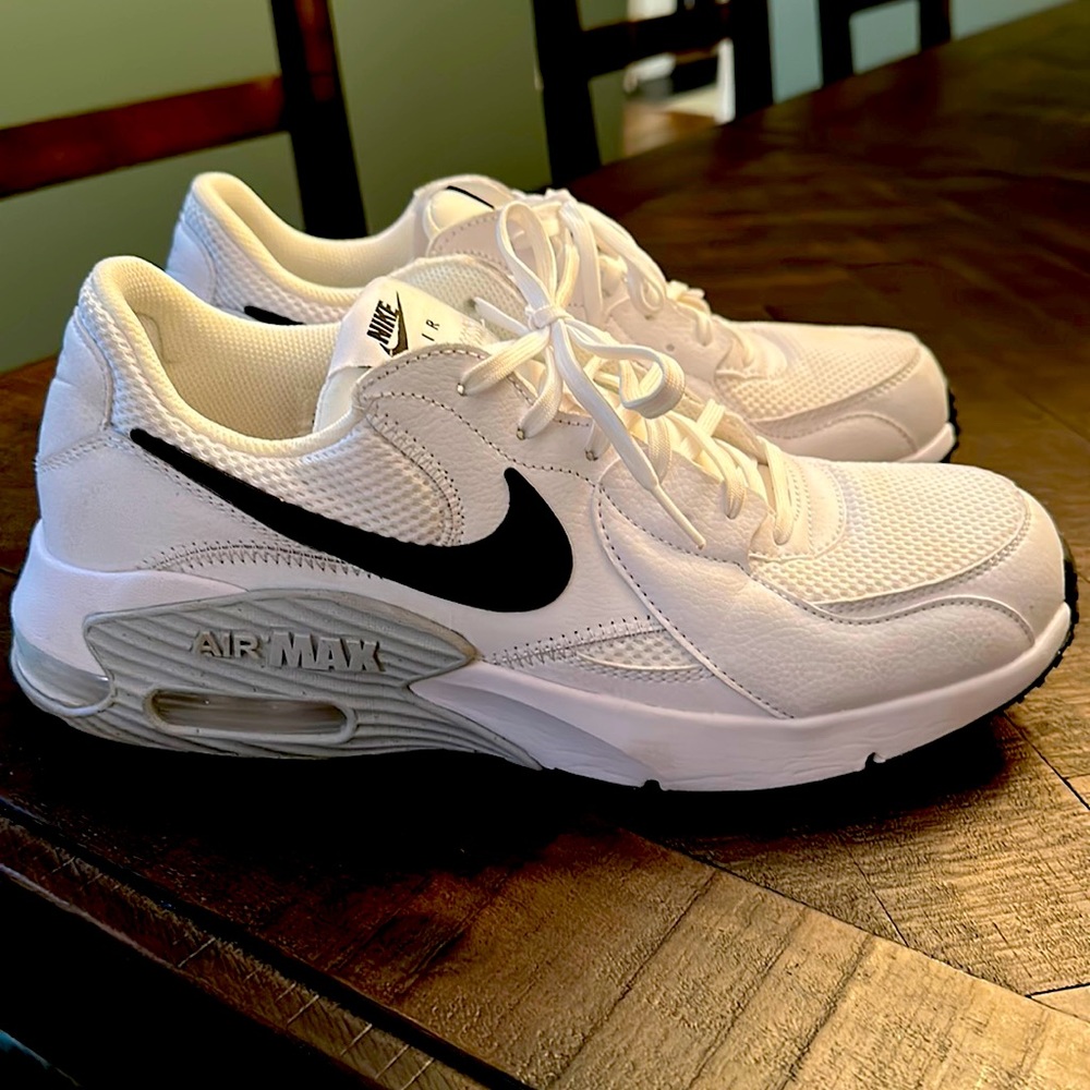 Nike Air Max Mens Running Shoe White Black Platinum